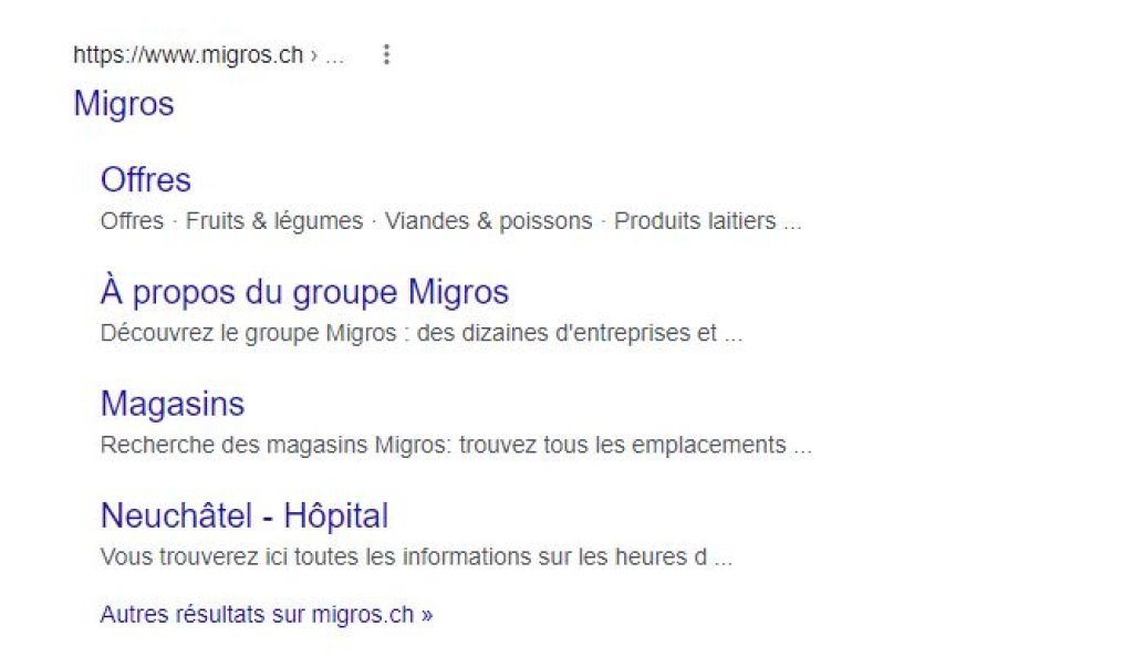 Fonction de recherche Migros Google.