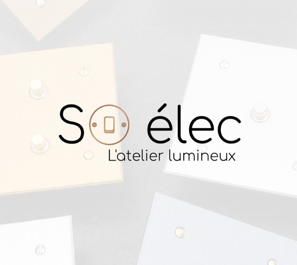 Soelec Logo.