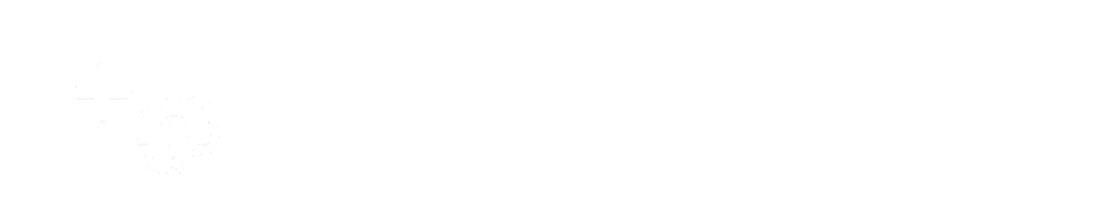 Logo Swiss Digital Services.